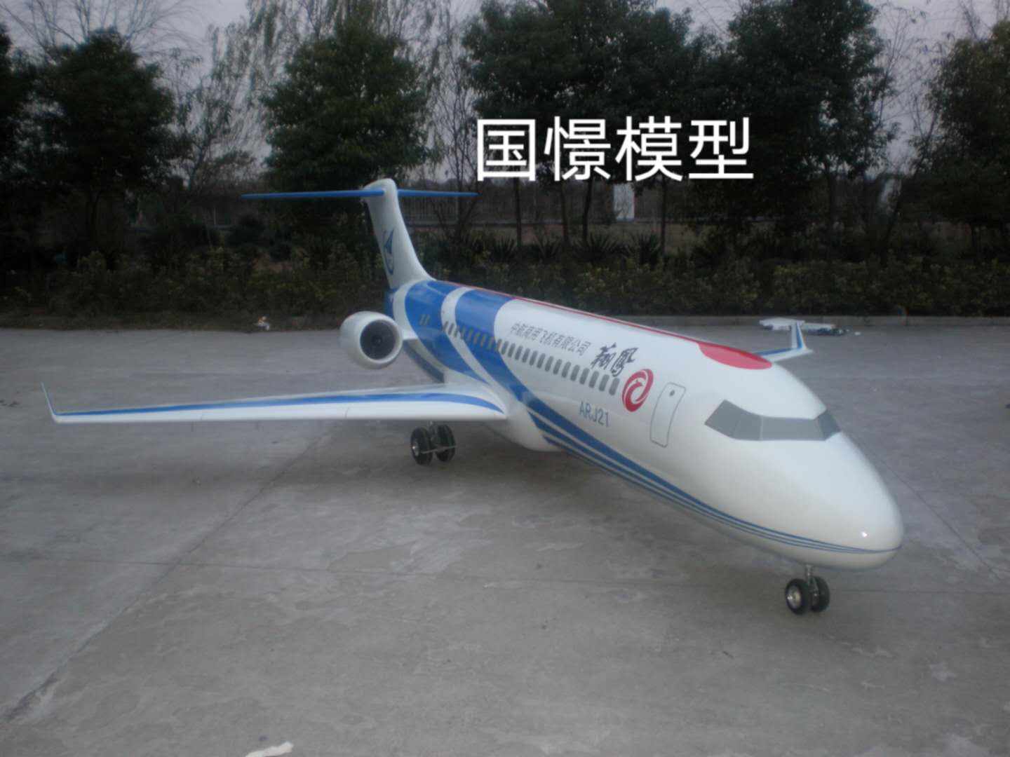 西充县飞机模型